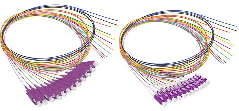 12-Strand OM3 Multimode Fiber Pigtail - LC/UPC, 900um, 3 Meter, Color-Coded - Highlight